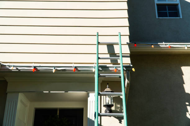  Saticoy, CA Siding Installation & Repair Pros